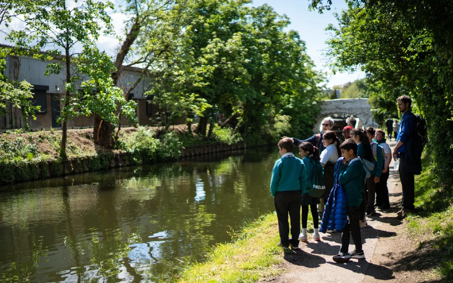 ذعر في لندن بعد العثور على عشرات البجعات النافقة بالقرب من "كناري وارف"