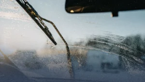 3162a707-5dc5-4bd4-a700-0763bb379f24