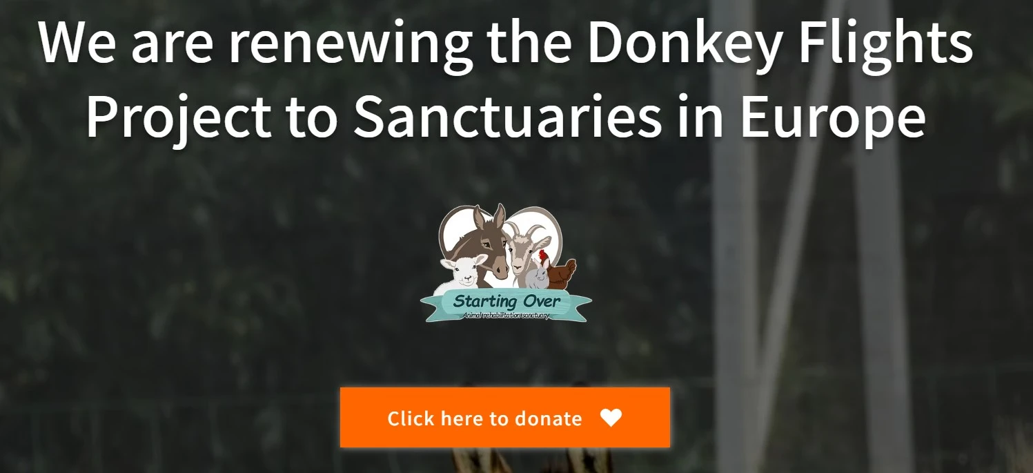 مشروع "رحلات الحمير": إنقاذ الحيوانات مقابل خنق غزة