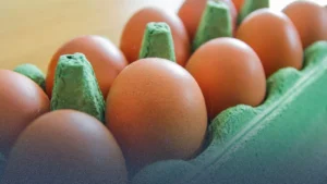 تقارير تحذر من بيض يحتوي على مواد تسبب السرطان