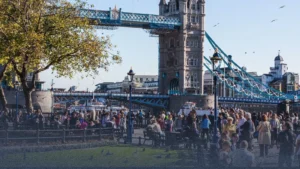 WhatsApp Image 2026-02-20 at 21.29.28