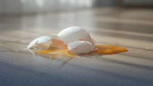 WhatsApp Image 2026-02-23 at 11.39.26 AM