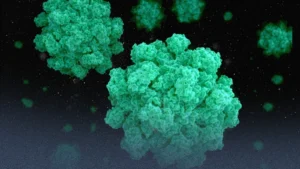 cdfdda98-e9f3-4dc5-b86a-99ab5caf3499