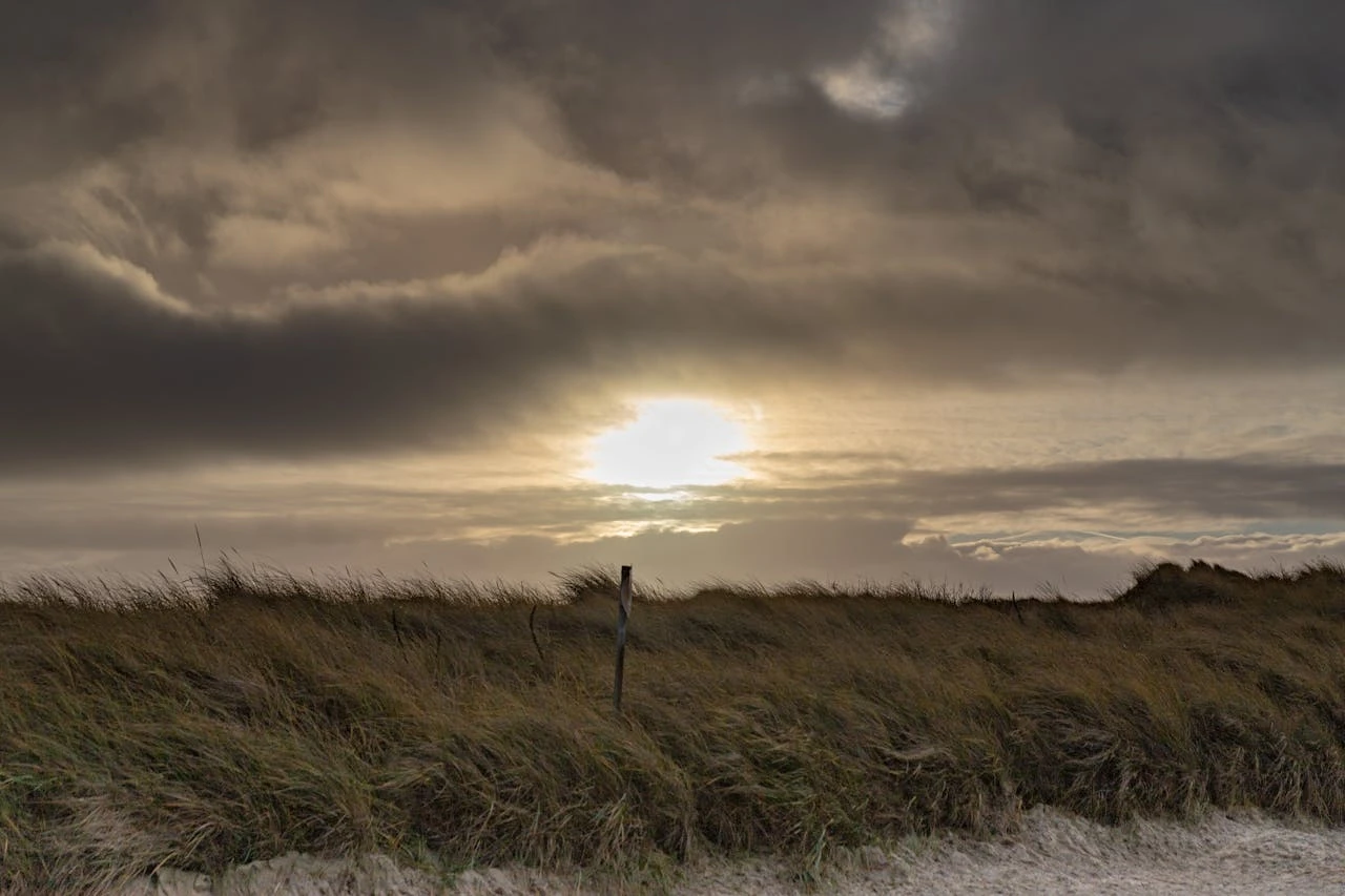 مستجدات العاصفة بدرو: ثلوج وجليد متوقعان في هذه المناطق