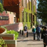 منحة جامعة شيفيلد البريطانية لطلاب قطاع غزة 2026: الدليل الكامل