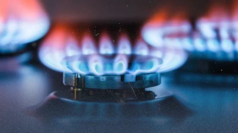 WhatsApp Image 2026-03-09 at 11.43.31 AM (1)