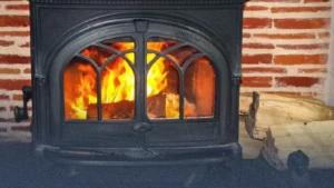 WhatsApp Image 2026-03-09 at 11.43.31 AM