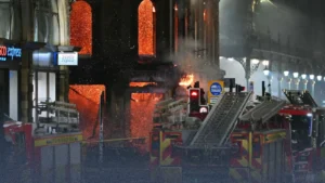 WhatsApp Image 2026-03-11 at 13.00.34 (1)