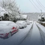 WhatsApp Image 2026-03-12 at 3.44.39 PM