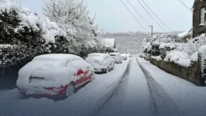 WhatsApp Image 2026-03-12 at 3.44.39 PM