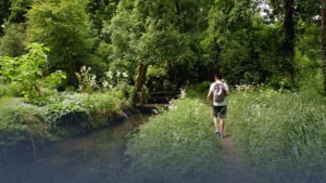 نواب بريطانيون يطالبون باعتذار رسمي عن ممارسات بريطانيا خلال فترة انتداب فلسطين