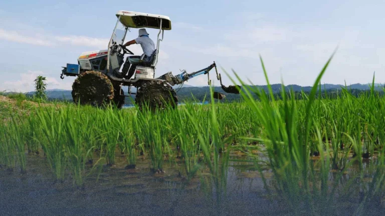 أزمة الغذاء في بريطانيا.. شبح حرب إيران يهدد إمدادات الأسمدة ويرفع الأسعار