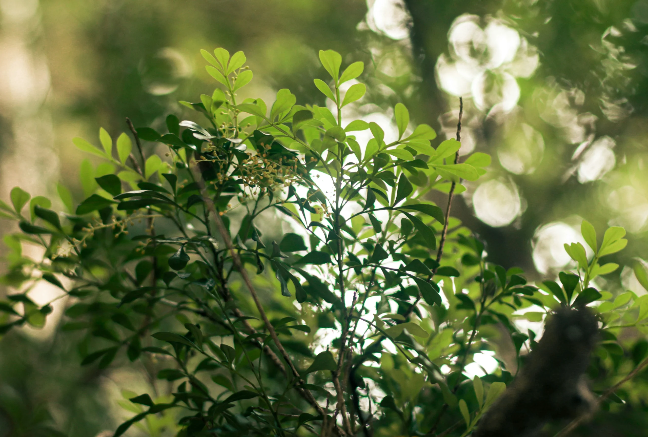 تعديل بسيط في ممر منزلك قد يحميك من خطر الفيضانات.. اكتشف السر