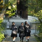 azalea-1r5SpkUYqPY-unsplash