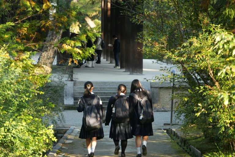 azalea-1r5SpkUYqPY-unsplash