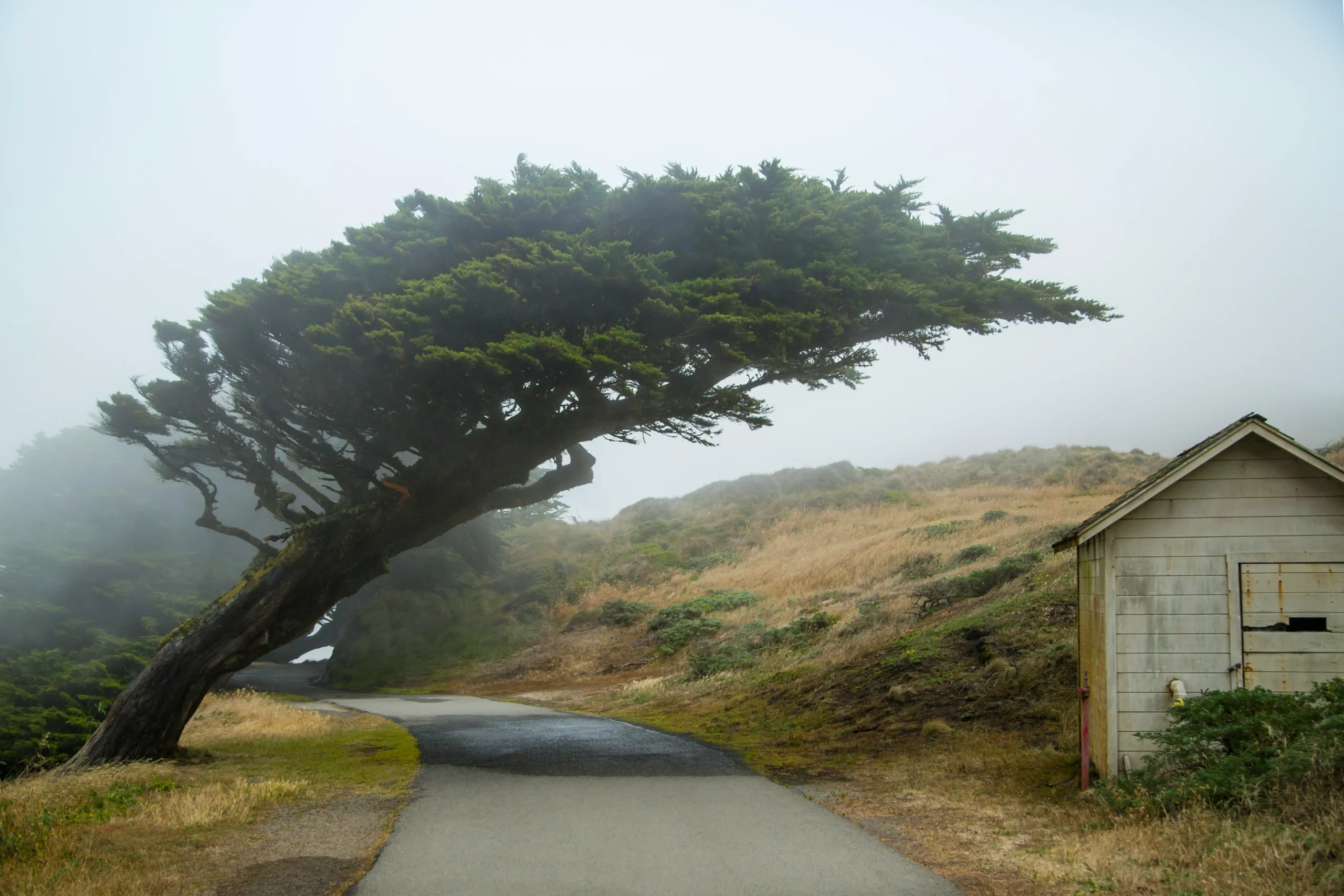 تحذيرات الطقس: بريطانيا تستقبل التوقيت الصيفي بأمطار غزيرة في نهاية الأسبوع