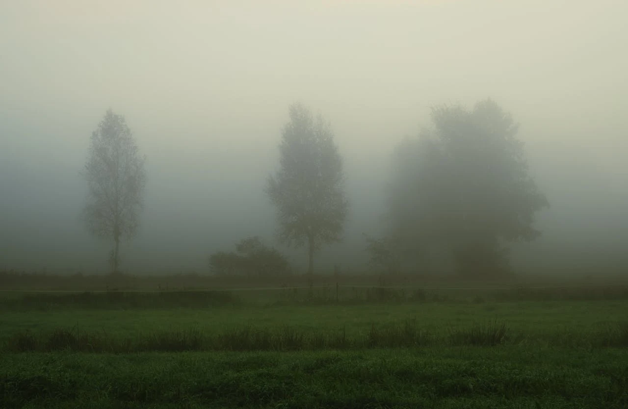 الموعد المتوقع لبدء الموجة الحارة في بريطانيا في ربيع 2026