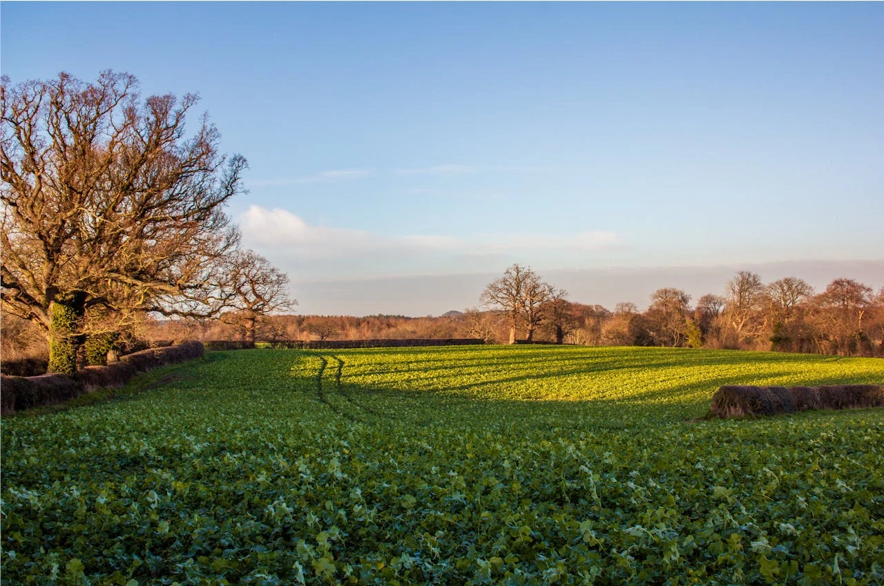 القائمة الكاملة: المدن والمناطق البريطانية التي يمكن أن تغطيها الثلوج الأسبوع القادم