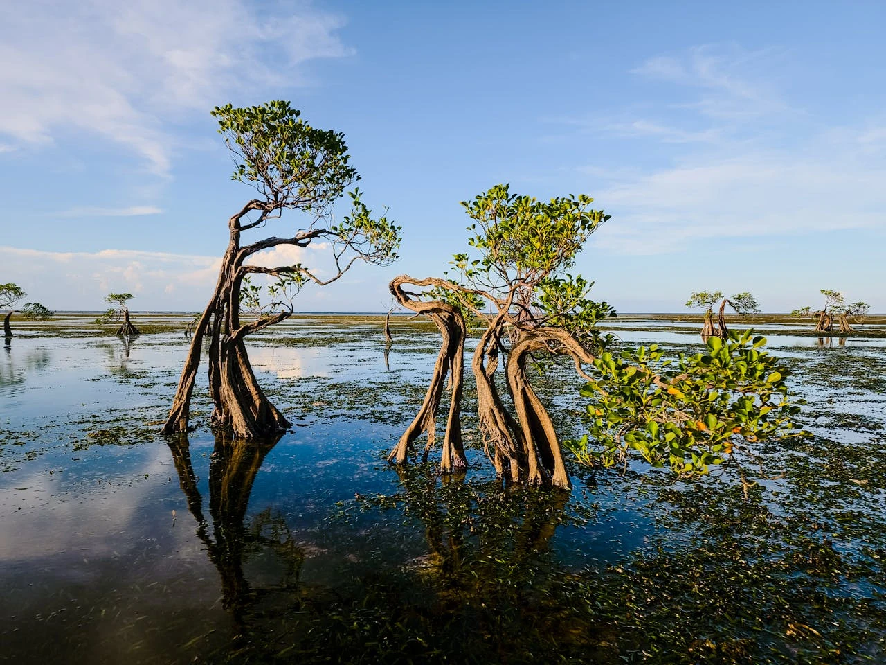 بريطانيا تخفض ميزانية مساعدات المناخ للدول النامية: تفاصيل الأزمة الصادمة