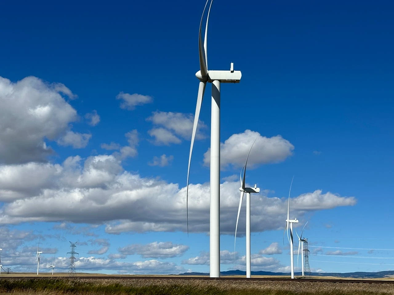 بريطانيا تخفض ميزانية مساعدات المناخ للدول النامية: تفاصيل الأزمة الصادمة