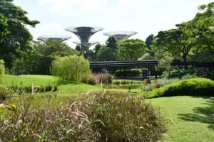 السماح بتركيب توربينات رياح في حدائق المنازل في بريطانيا وسط أزمة الطاقة