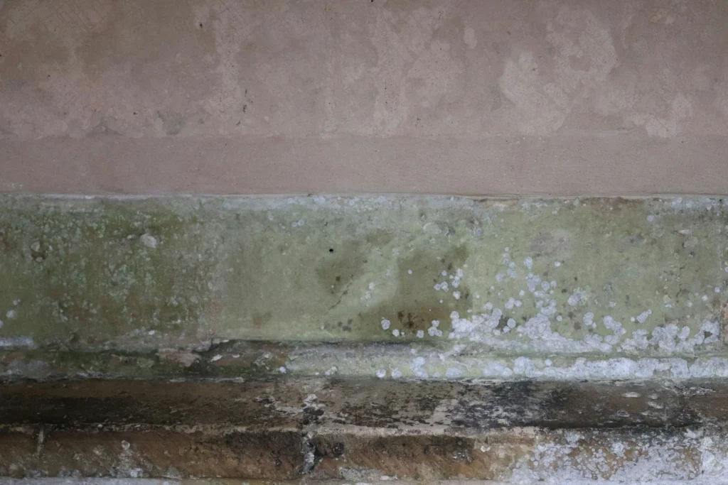 أزمة السكن في بريطانيا: الرطوبة والعفن وراء دخول 40 ألف شخص إلى المستشفيات