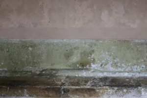 أزمة السكن في بريطانيا: الرطوبة والعفن وراء دخول 40 ألف شخص إلى المستشفيات