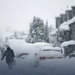 WhatsApp Image 2026-04-03 at 09.19.15