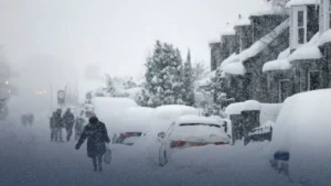 WhatsApp Image 2026-04-03 at 09.19.15