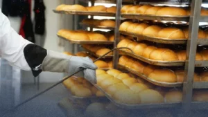 40 وظيفة فورية وتوسعات كبرى.. كيف تستفيد من استثمار "واربرتونز" الجديد؟