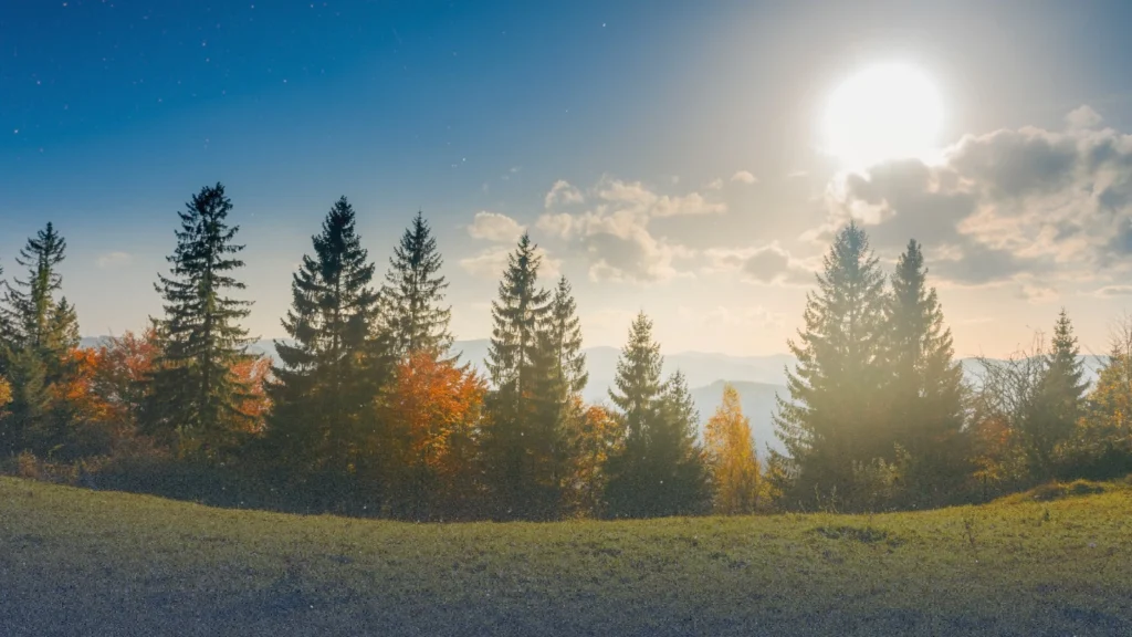 طقس بريطانيا: موجة دفء مبكرة وتوقعات بتسجيل 20 درجة مئوية نهاية الأسبوع