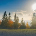 طقس بريطانيا: موجة دفء مبكرة وتوقعات بتسجيل 20 درجة مئوية نهاية الأسبوع