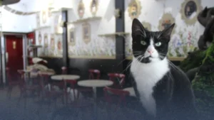 London’s 10 Weirdest Cafés to Visit in 2026