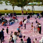 أنشطة وفعاليات عائلية في بريطانيا في عطلة نهاية الأسبوع (11 و 12 أبريل 2026)