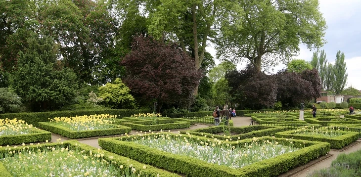 أين ومتى تشاهد زهور التوليب في لندن 2026؟ دليل القصور والحدائق