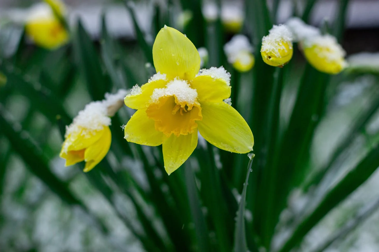 أحر أيام السنة حتى الآن: لندن والجنوب الشرقي بانتظار 24 درجة مئوية هذا الأسبوع
