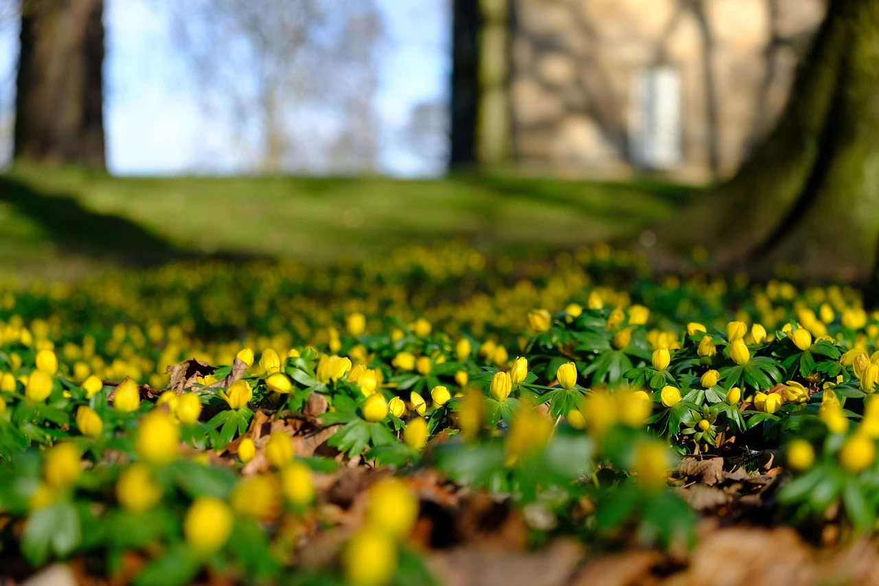 أحر أيام السنة حتى الآن: لندن والجنوب الشرقي بانتظار 24 درجة مئوية هذا الأسبوع