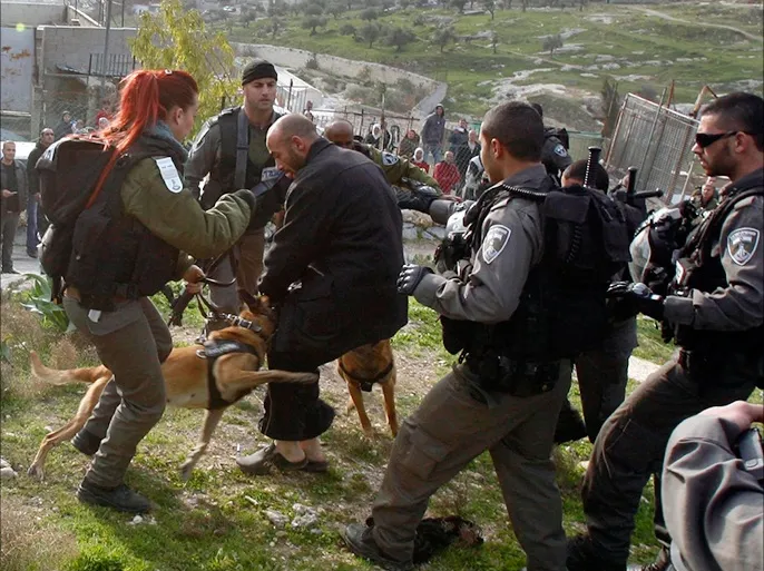 كيف يمكنك أن تنظر إلى الأهوال في فلسطين ولا تشعر بشيء؟