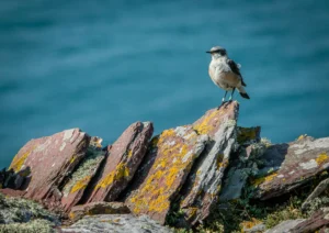 james-armes-jRBPfm5k6uc-unsplash