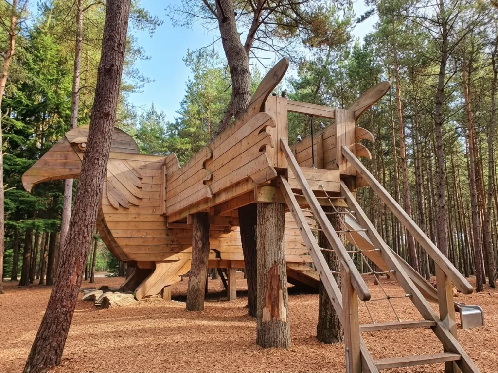 Fabulous forest play in Dorset