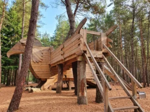 Fabulous forest play in Dorset