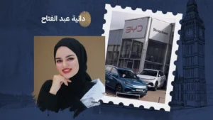 السيارات الصينية