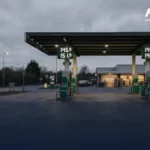 asset (11)