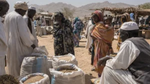 الجوع يجبر أهالي غرب كردفان بالسودان على أكل علف الحيوانات