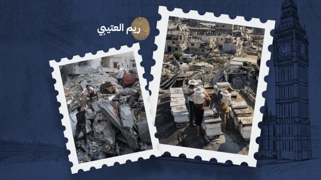 لا تجعلوا التضامن مع غزة ذكرى بقلم: ريم العتيبي