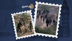 فلسطين... حين يُسرق فرح الزيتون وتُغلق أبواب المساجد، إلى متى هذا القهر؟