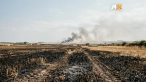 حرائق المزارع في بريطانيا.. خسائر تتجاوز 118 مليون باوند